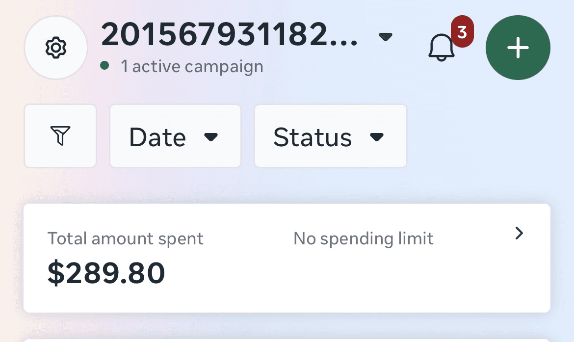 Meta ads monthly budget results screenshot for a small business campaign
