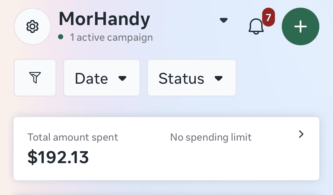 Facebook and Instagram ads monthly budget campaign results screenshot