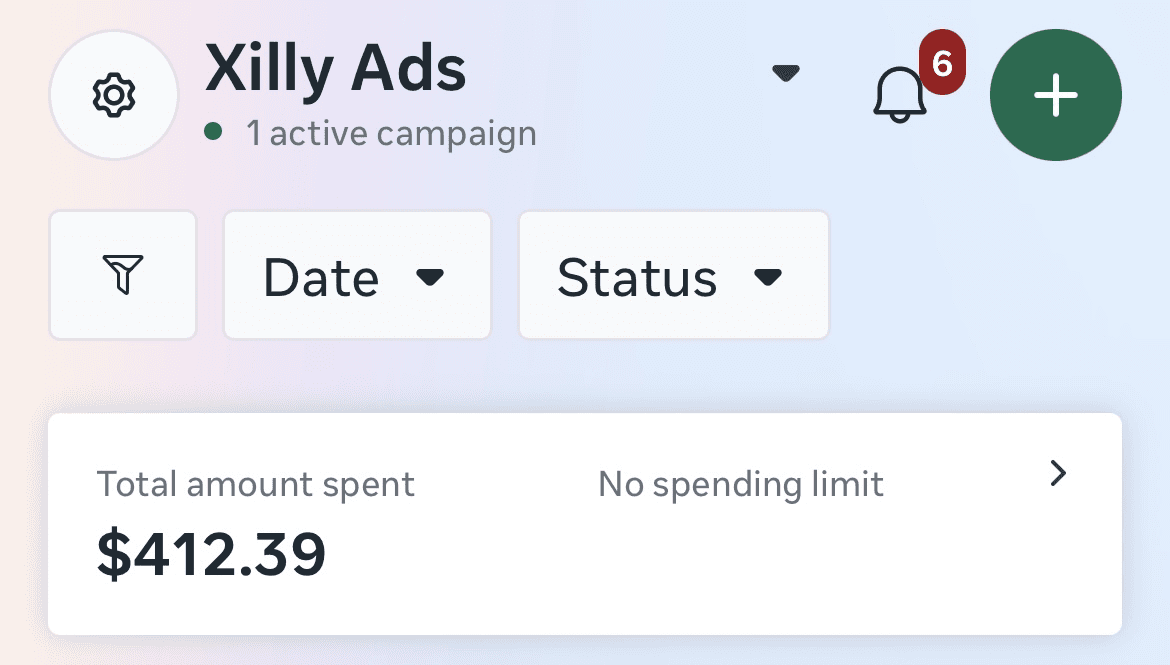 Meta ads budget results screenshot for lead generation campaign performance