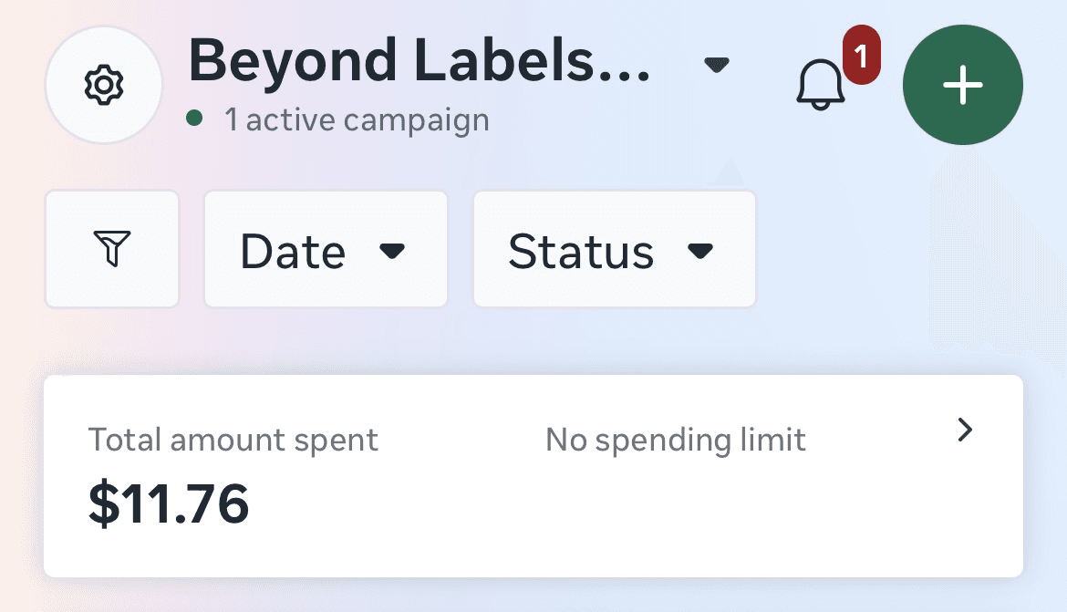 Monthly Meta ads campaign performance screenshot for Facebook ads budgeting guide