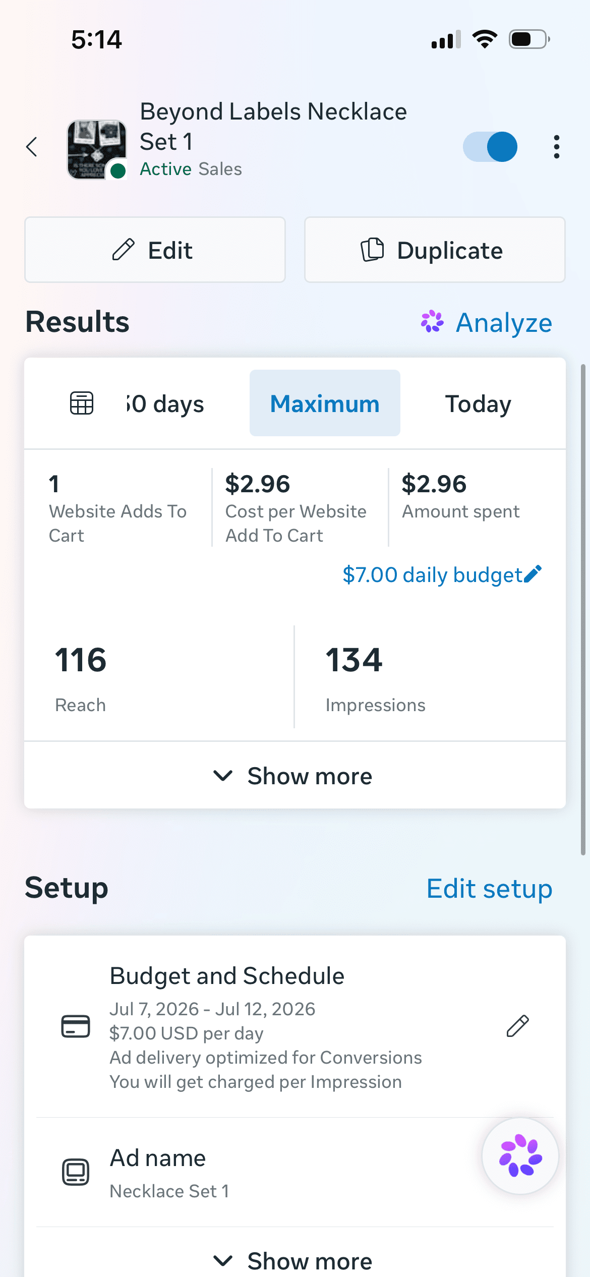 Beyond Labels Gifts Meta ads results for ecommerce promotion