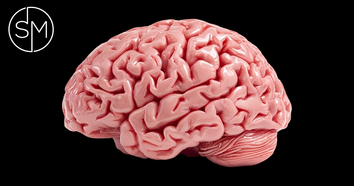 Realistic brain image for trading psychology and decision-making under risk