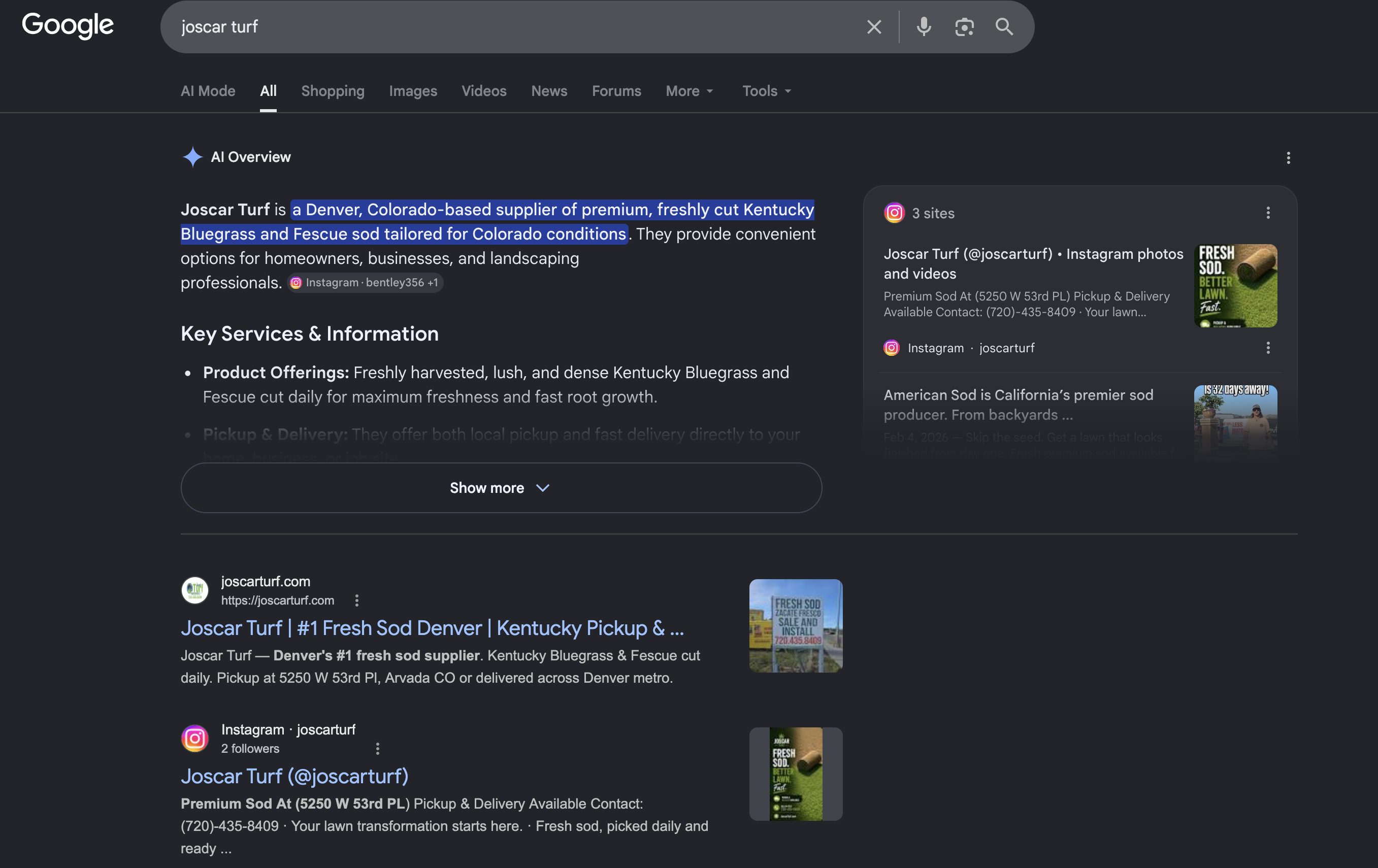 Joscar Turf ranking in Google AI overview and search results